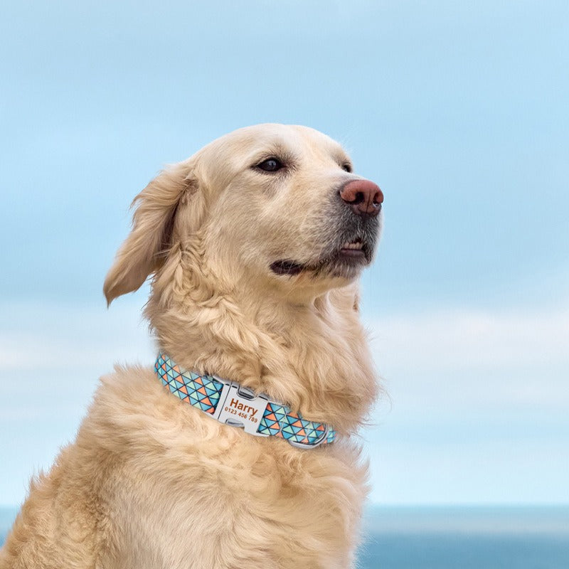 Personalized Printed Dog Collar With Engraved ID Plate