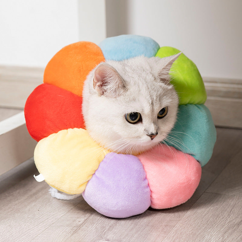 Sunflower Soft Recovery Collar for Cats & Small Dogs
