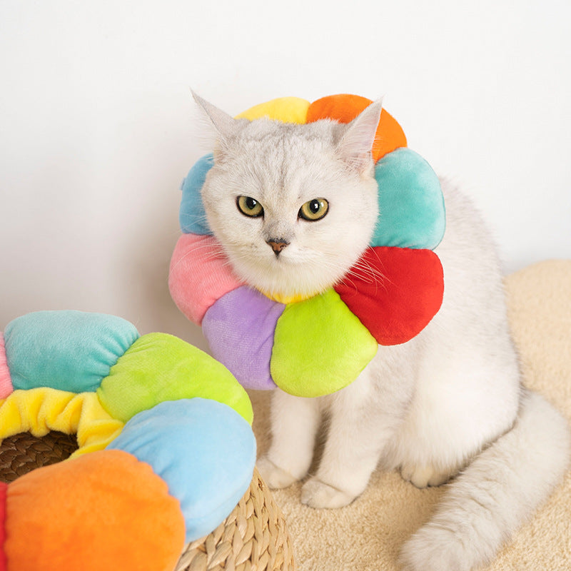 Sunflower Soft Recovery Collar for Cats & Small Dogs