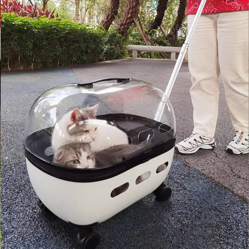 Transparent Pet Travel Carrier Stroller for Calm Outings