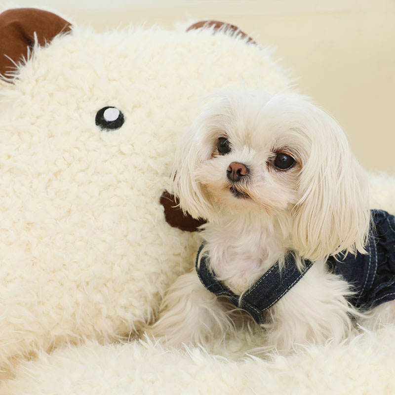 Alpaca Cat Bed House for Warm, Cozy Indoor Pet Comfort