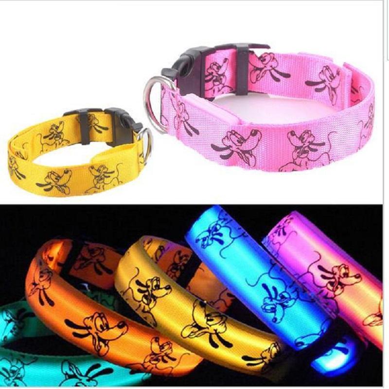 LED Dog Collar for Night Walks: Glows Visible in the Dark