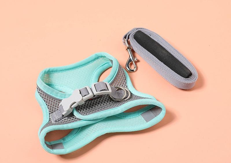No-Pull Reflective Dog Harness for Safer Evening Walks