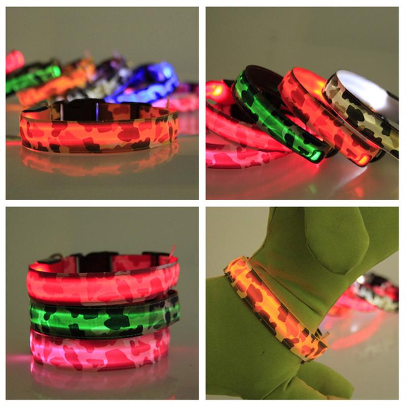 LED Light-Up Dog Collar Keeps Pets Visible At Night