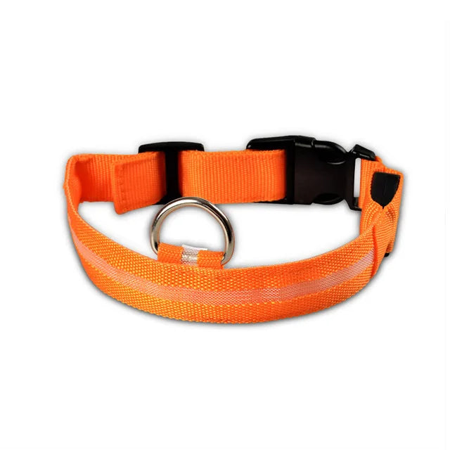 LED Dog Collar for Night Walks, Visible in the Dark