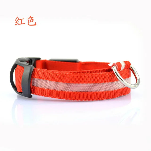 LED Dog Collar for Night Walks, Visible in the Dark