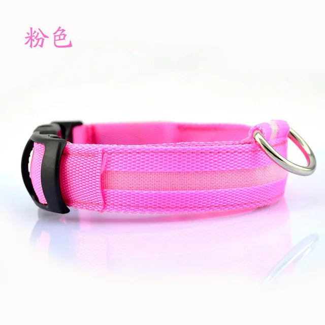 LED Dog Collar for Night Walks, Visible in the Dark