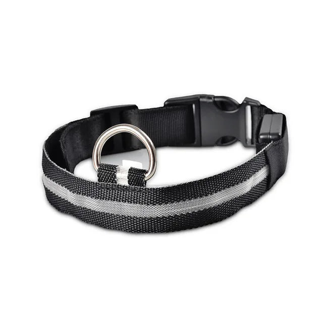 LED Dog Collar for Night Walks, Visible in the Dark
