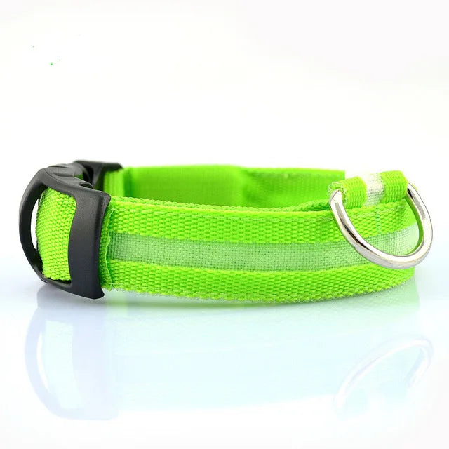 LED Dog Collar for Night Walks, Visible in the Dark