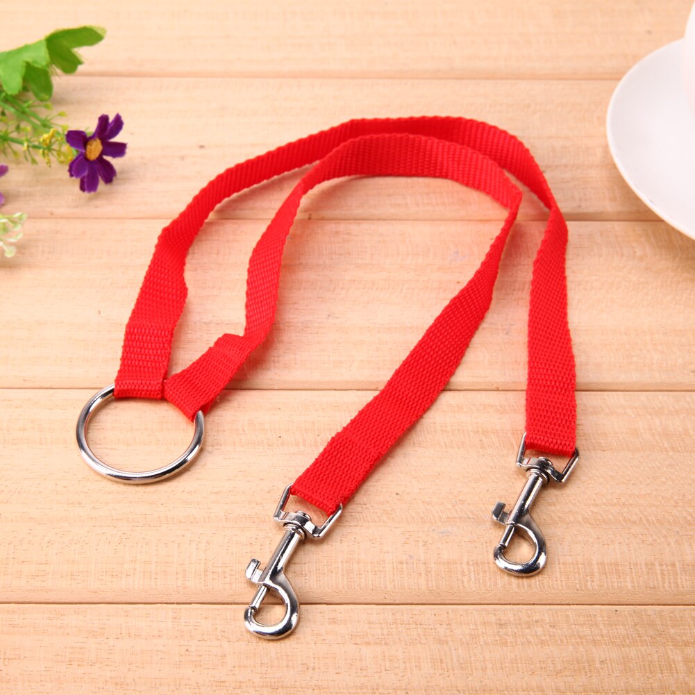 Dog Coupler Leash for Two Dogs, Calmer Daily Walks
