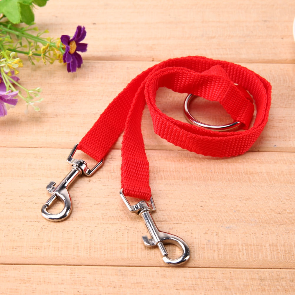 Dog Coupler Leash for Two Dogs, Calmer Daily Walks