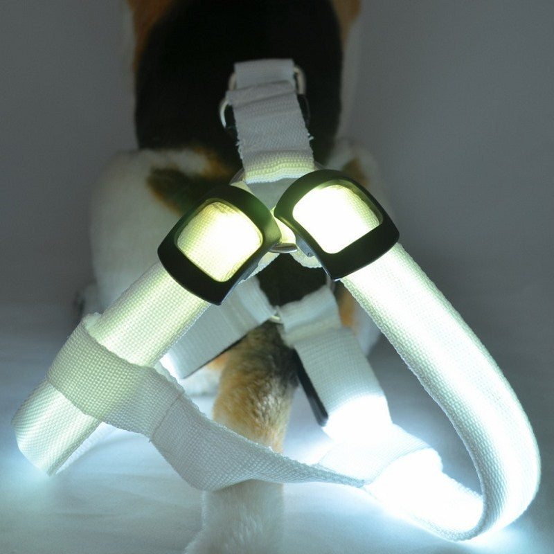 LED Dog Harness for Safer, High-Visibility Night Walks