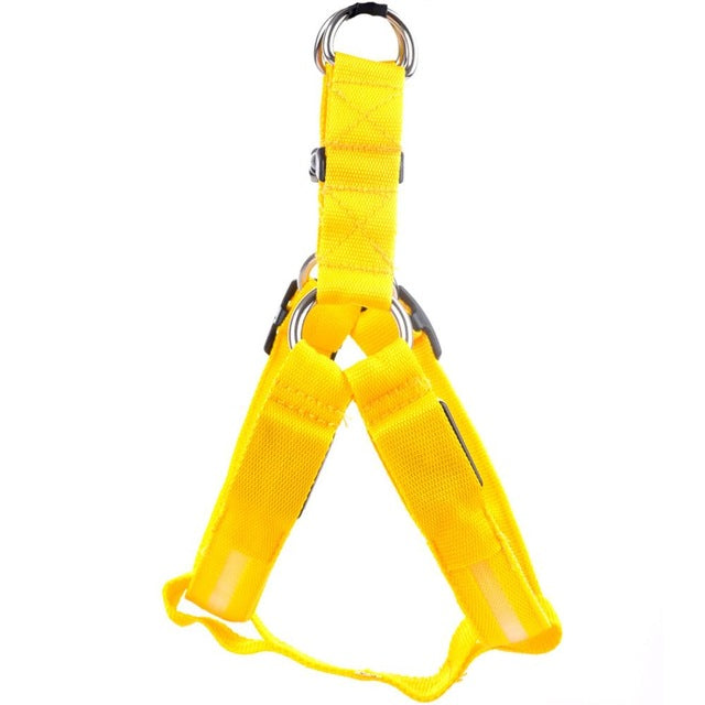 LED Dog Harness for Safer, High-Visibility Night Walks