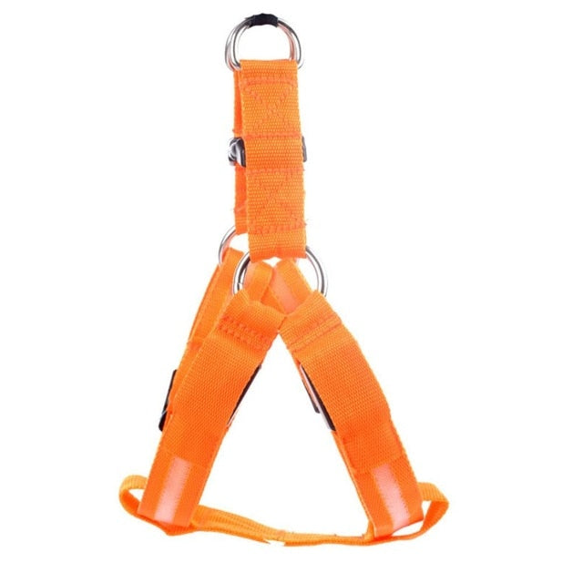 LED Dog Harness for Safer, High-Visibility Night Walks