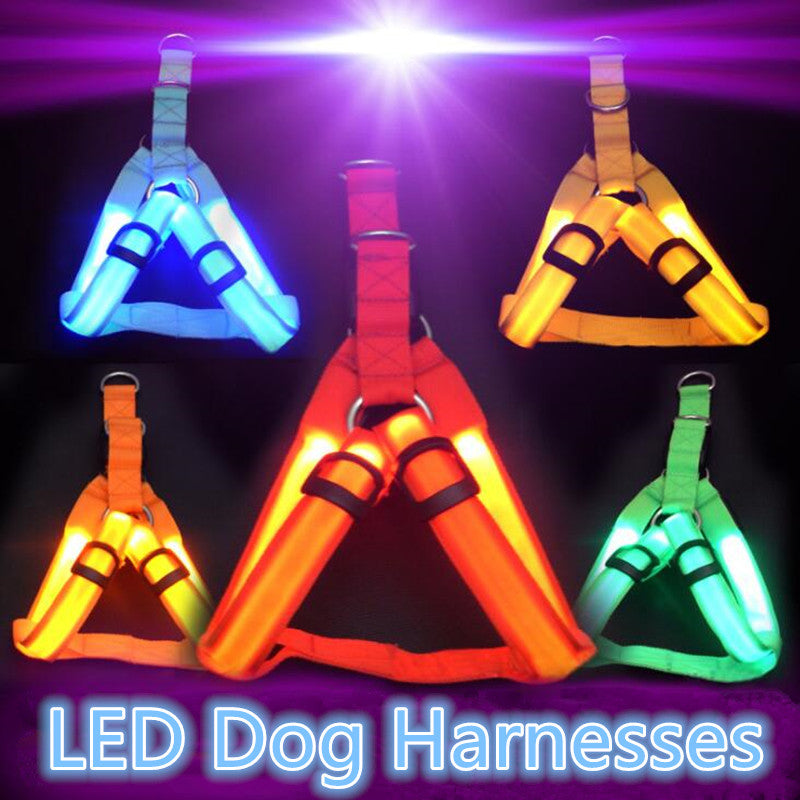 LED Dog Harness for Safer, High-Visibility Night Walks