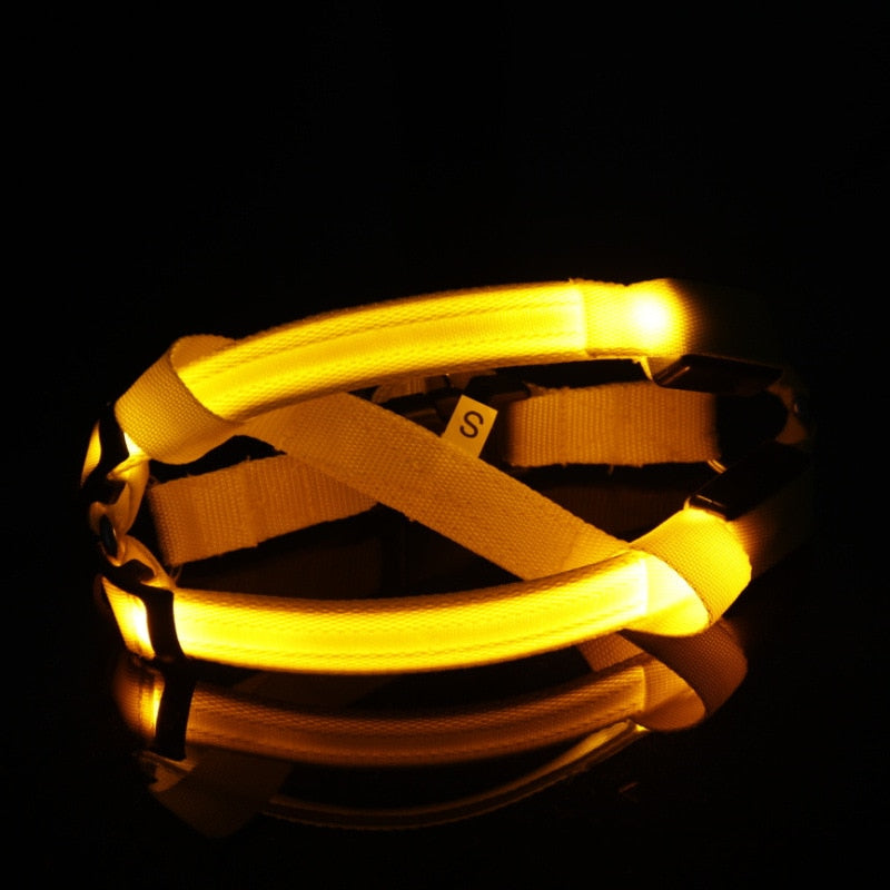 LED Dog Harness for Safer, High-Visibility Night Walks