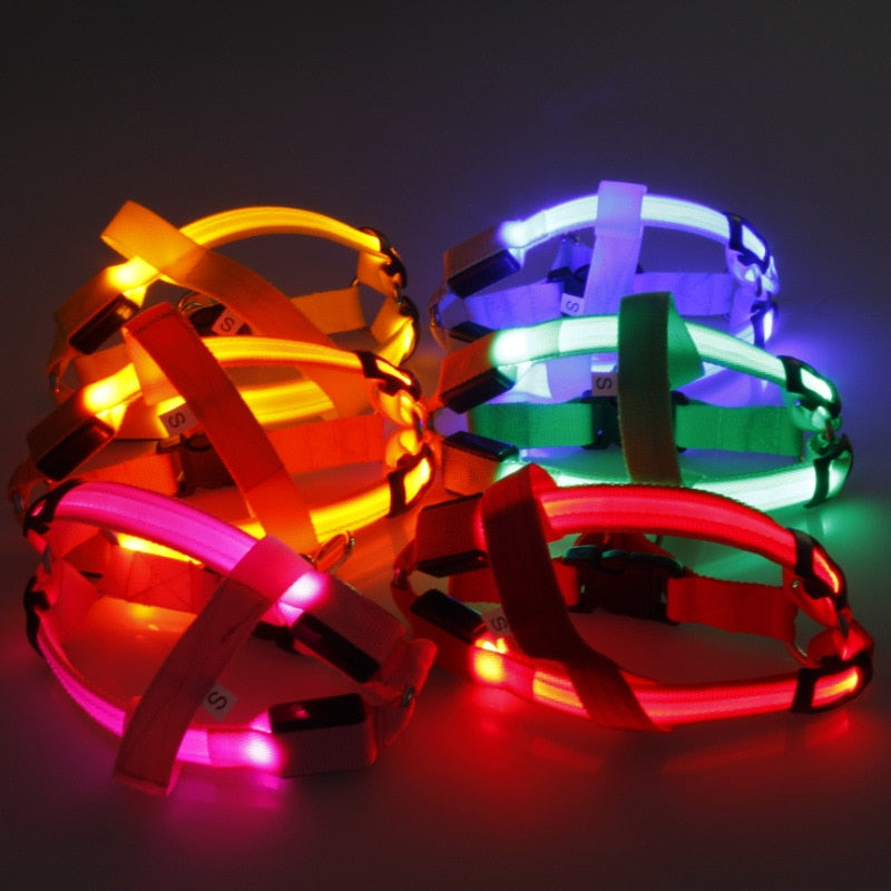 LED Dog Harness for Safer, High-Visibility Night Walks