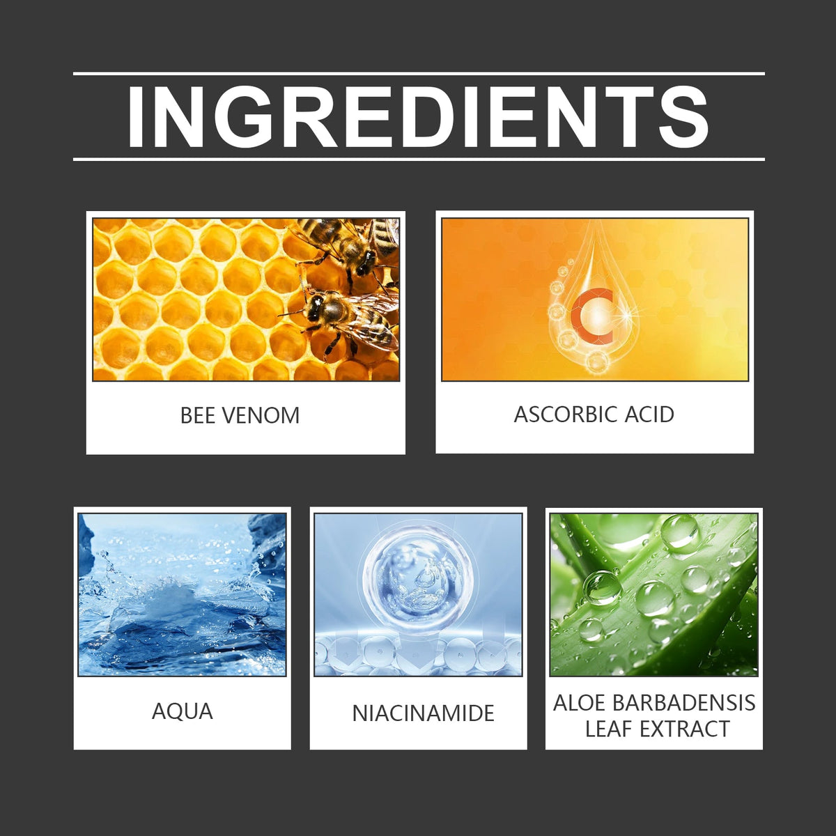 Bee Venom Dark Spot Serum with Vitamin C & Niacinamide