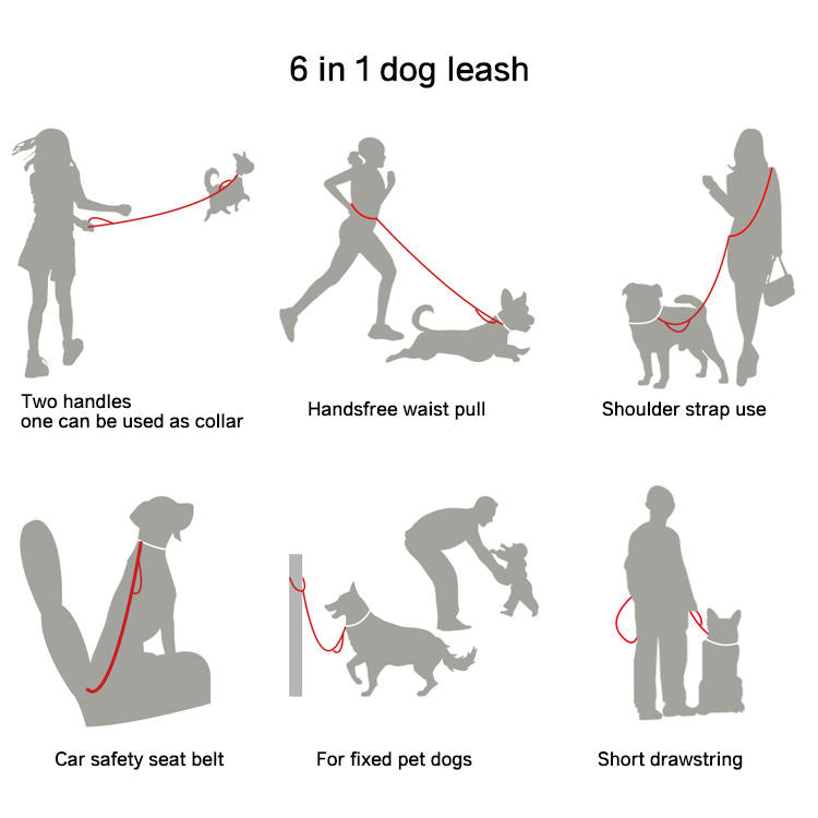 6-in-1 Dog Leash for Hands-Free Walking & Running Dogs