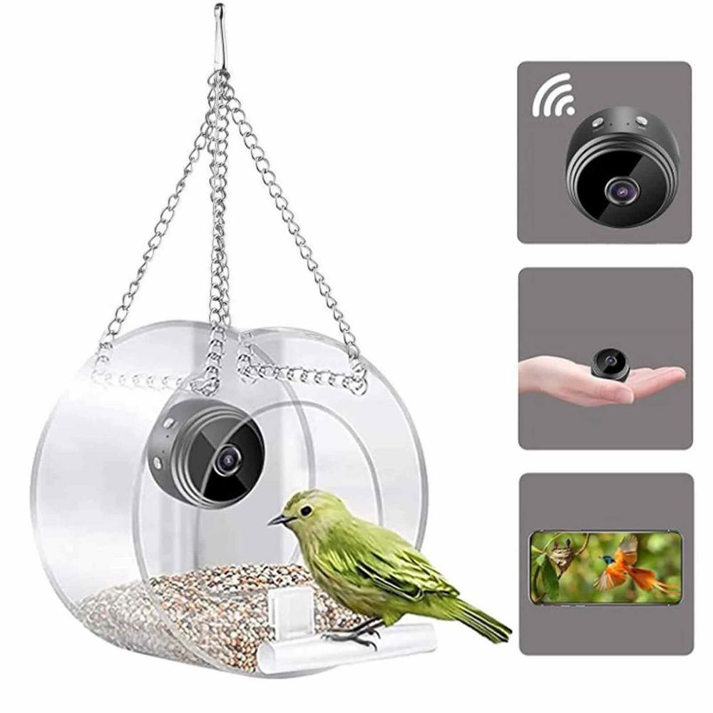 Outdoor Bird Feeder Camera for Real-Time Bird Views