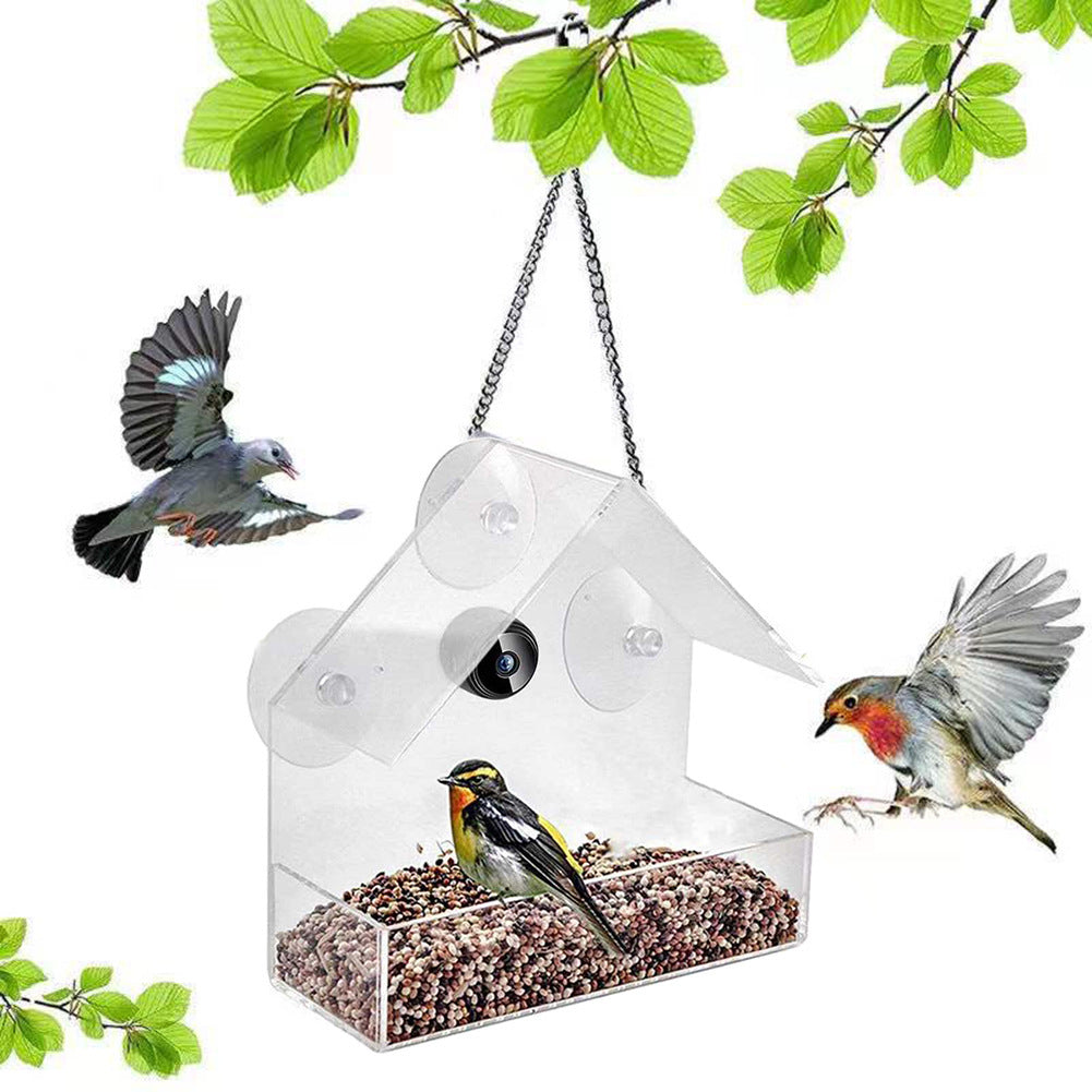 Outdoor Bird Feeder Camera for Real-Time Bird Views
