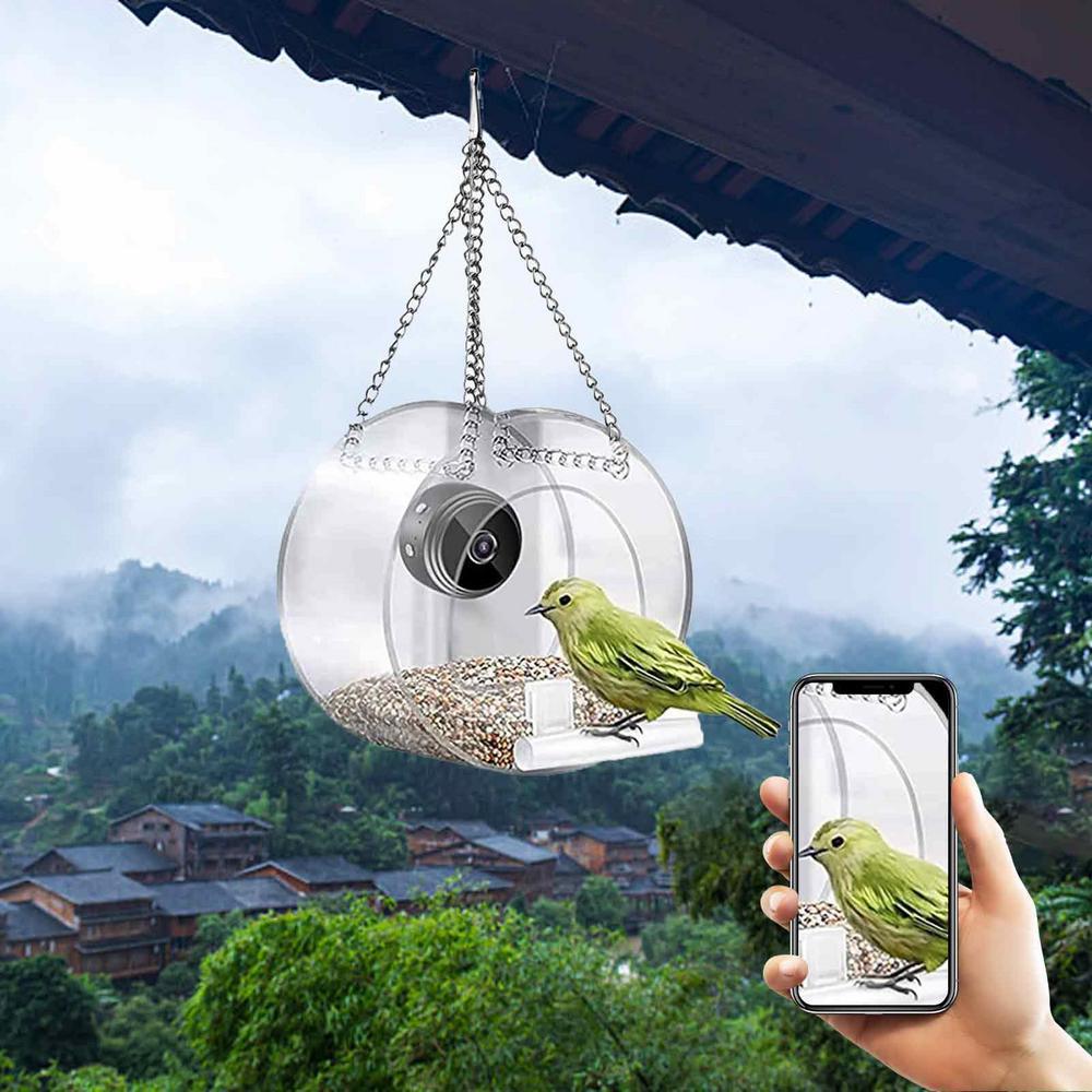 Outdoor Bird Feeder Camera for Real-Time Bird Views