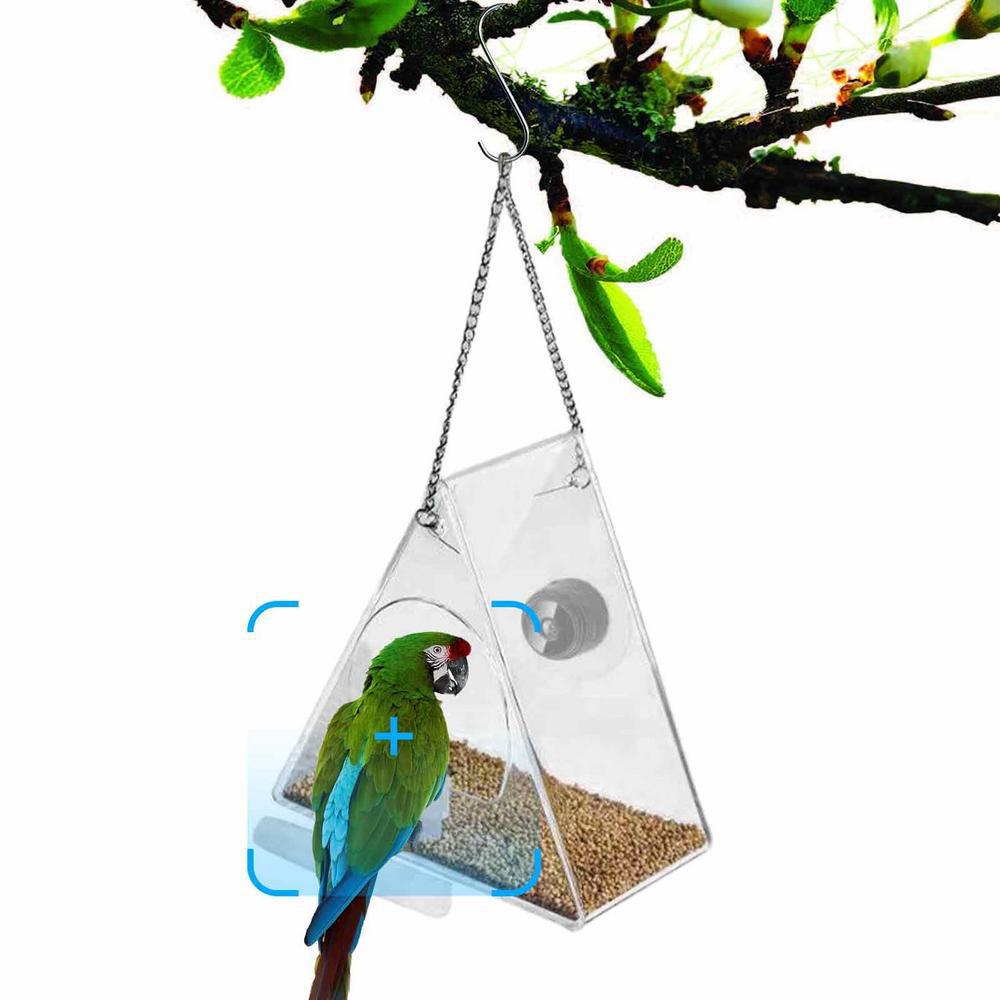 Outdoor Bird Feeder Camera for Real-Time Bird Views