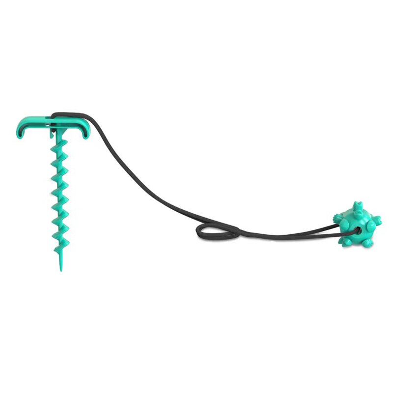 Outdoor Dog Tie-Out Stake Set for Secure Yard Play