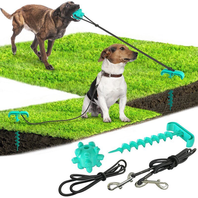 Outdoor Dog Tie-Out Stake Set for Secure Yard Play