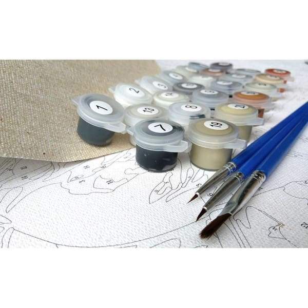Painting By Numbers Kit for Relaxing Creative Time