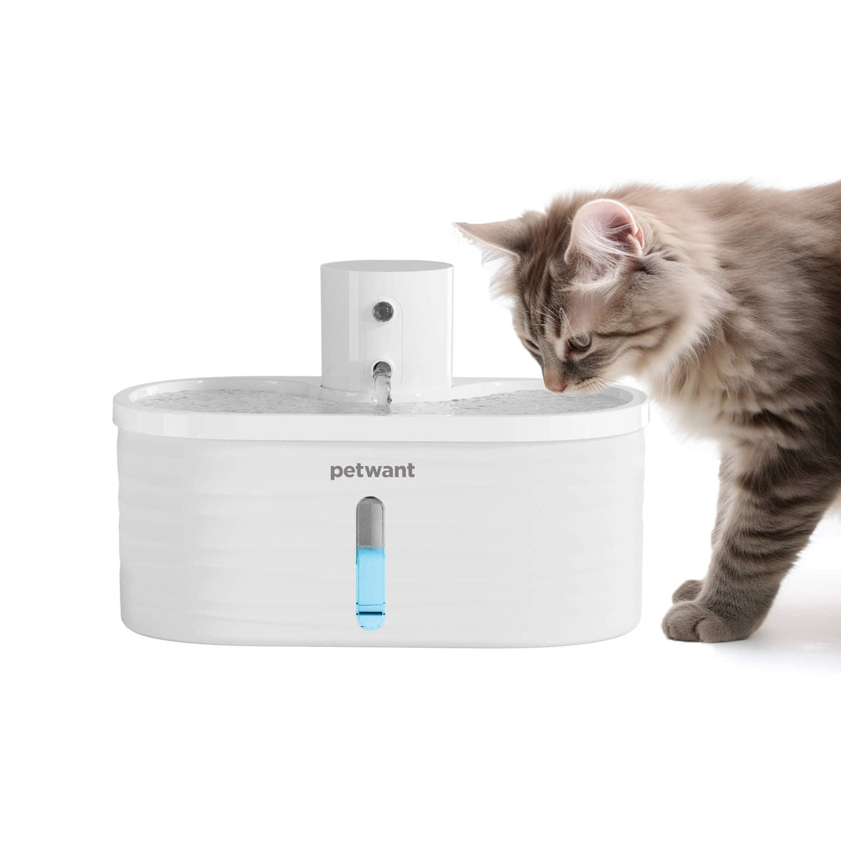 Pet Water Dispenser: Cordless Fresh Hydration