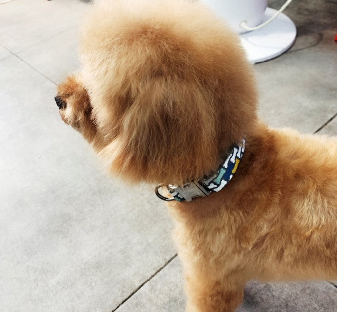Personalized Dog Collar for Secure Everyday Walks