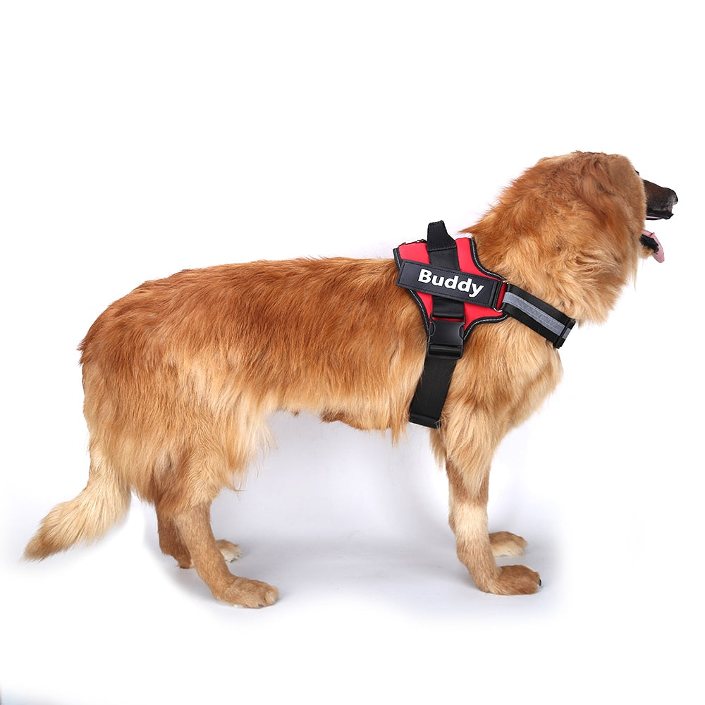 Personalized No-Pull Dog Harness With Reflective ID