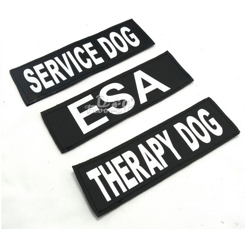Personalized No-Pull Dog Harness With Reflective ID