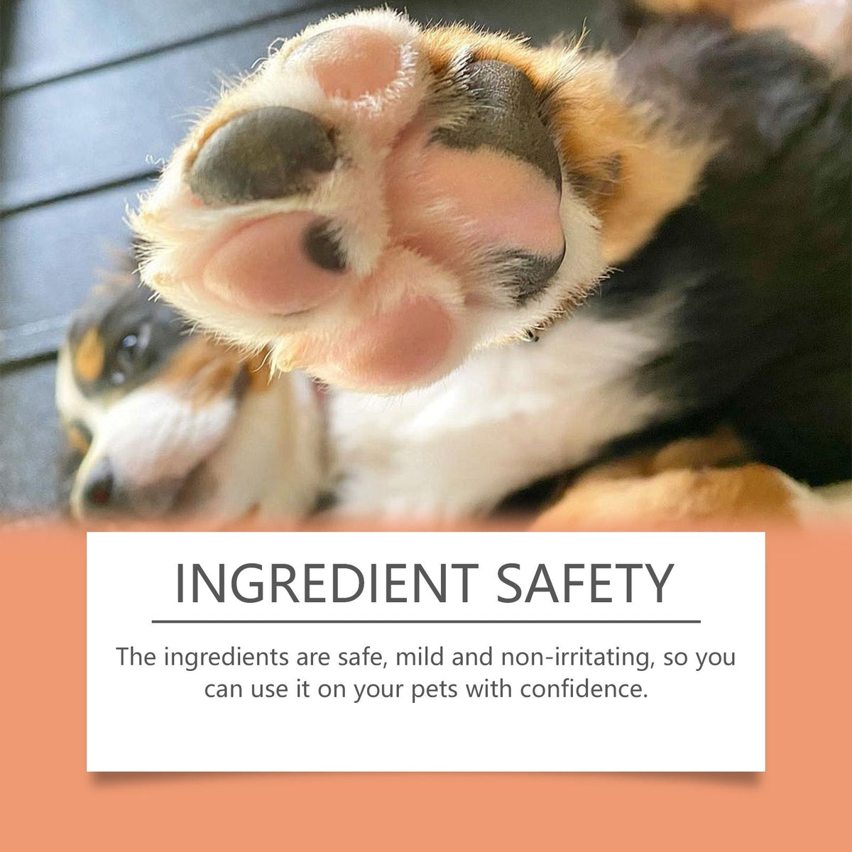 Pet Paw Balm Stick for Dry, Rough Paw Protection Care