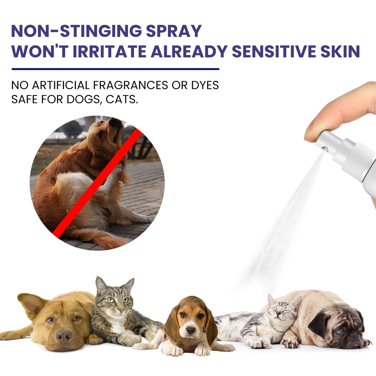Pet Hydrocortisone Spray for Itch & Hot Spot Relief