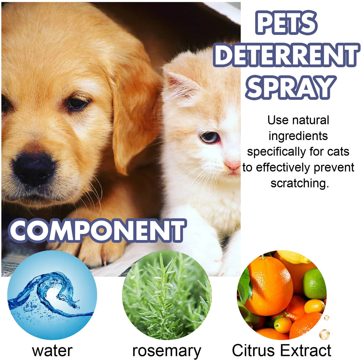 Pet Anti-Scratch Training Spray for Sofa Protection