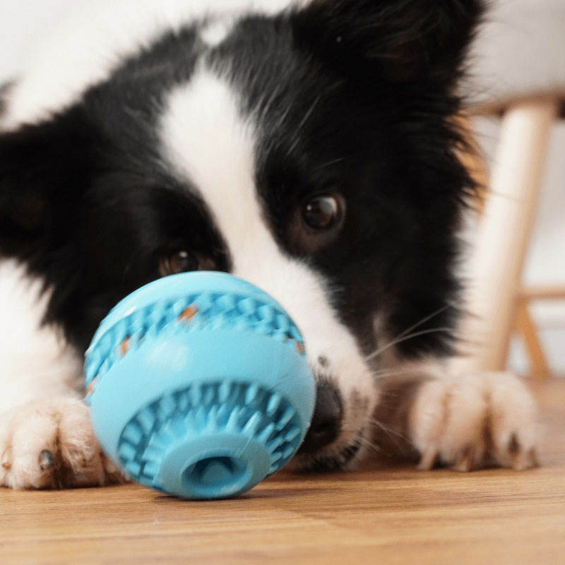 Treat-Dispensing Dog Ball With Teeth Cleaning Spikes