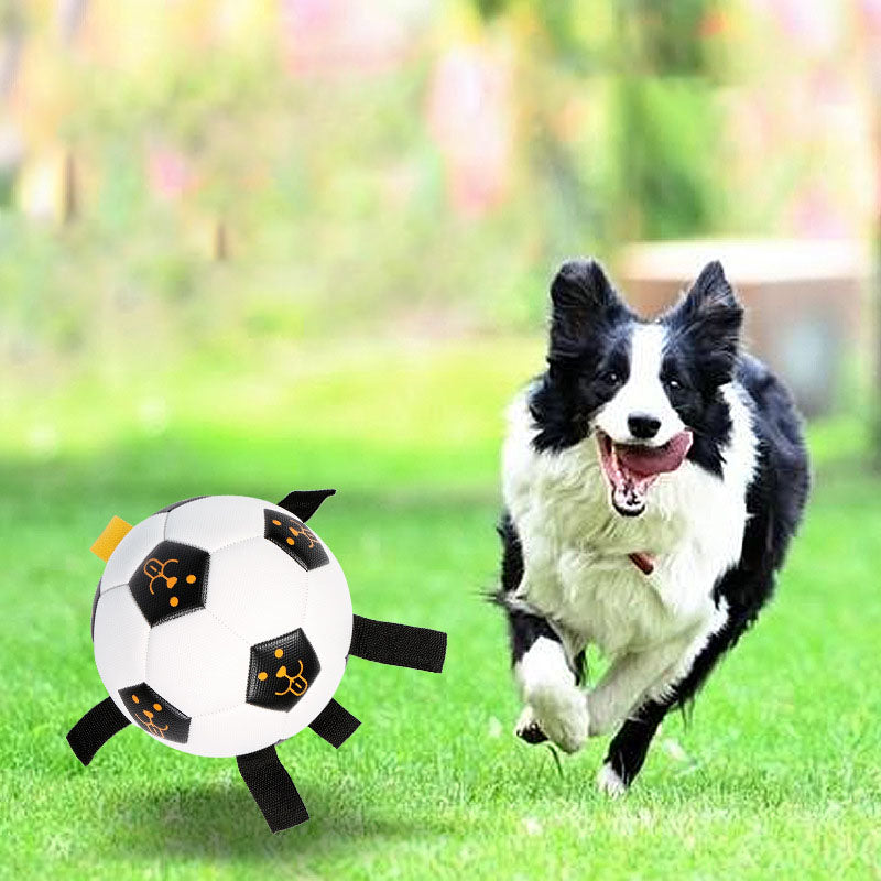 Interactive Dog Ball Toy for Fetch, Tug and Training