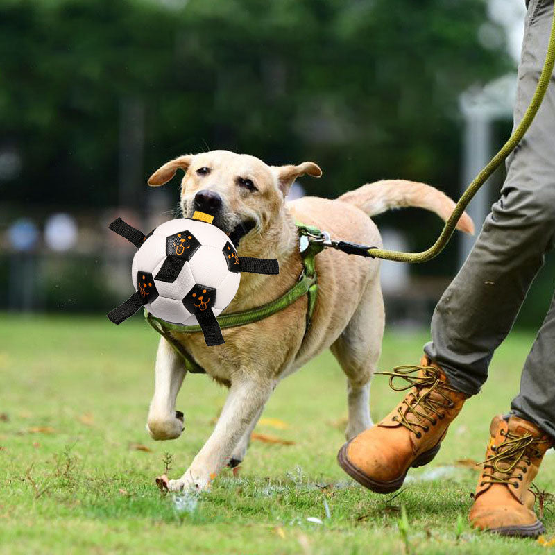 Interactive Dog Ball Toy for Fetch, Tug and Training