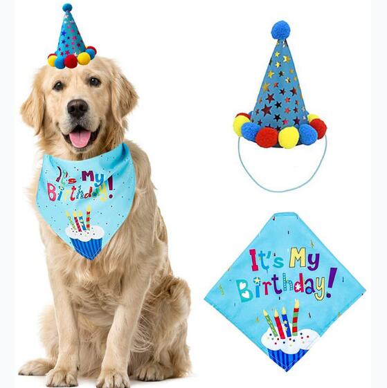 Pet Birthday Party Set for Colorful Dog Party Photos
