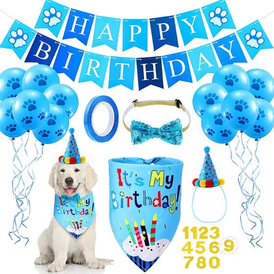 Pet Birthday Party Set for Colorful Dog Party Photos