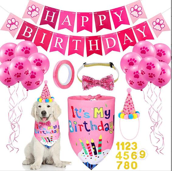 Pet Birthday Party Set for Colorful Dog Party Photos