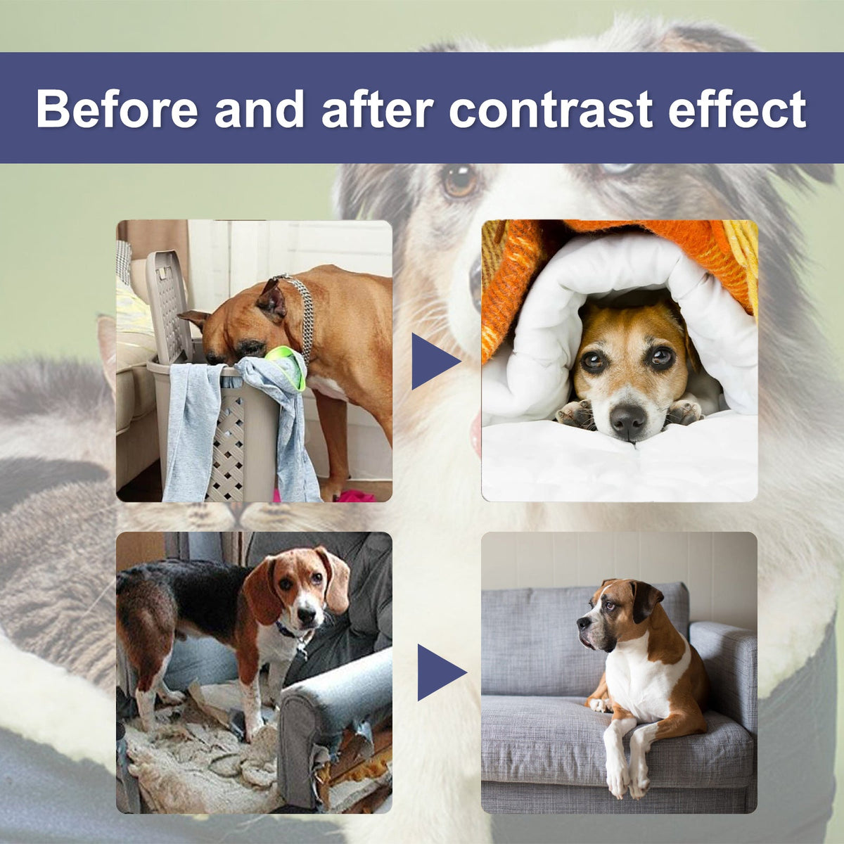 Dog Anti-Chew Spray for Furniture & Puppy Training