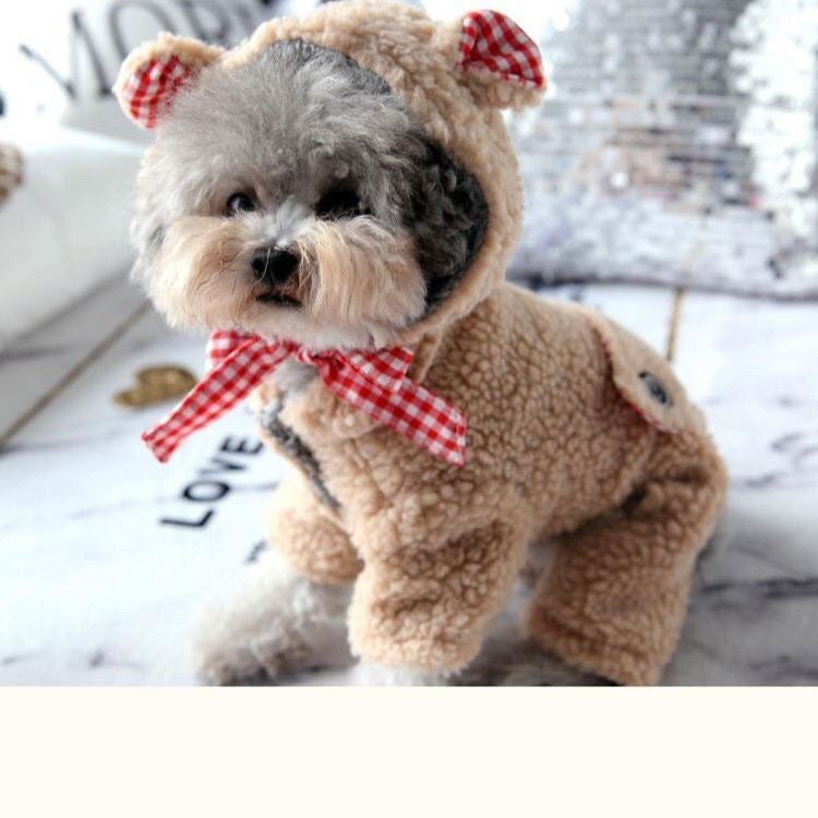 Small Dog Winter Clothes | Full-Body Teddy Fleece