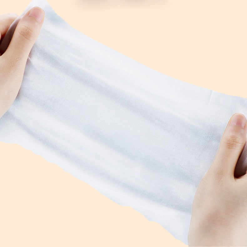 Pet Care Wet Wipes for Dogs & Cats, 100 Soft Sheets