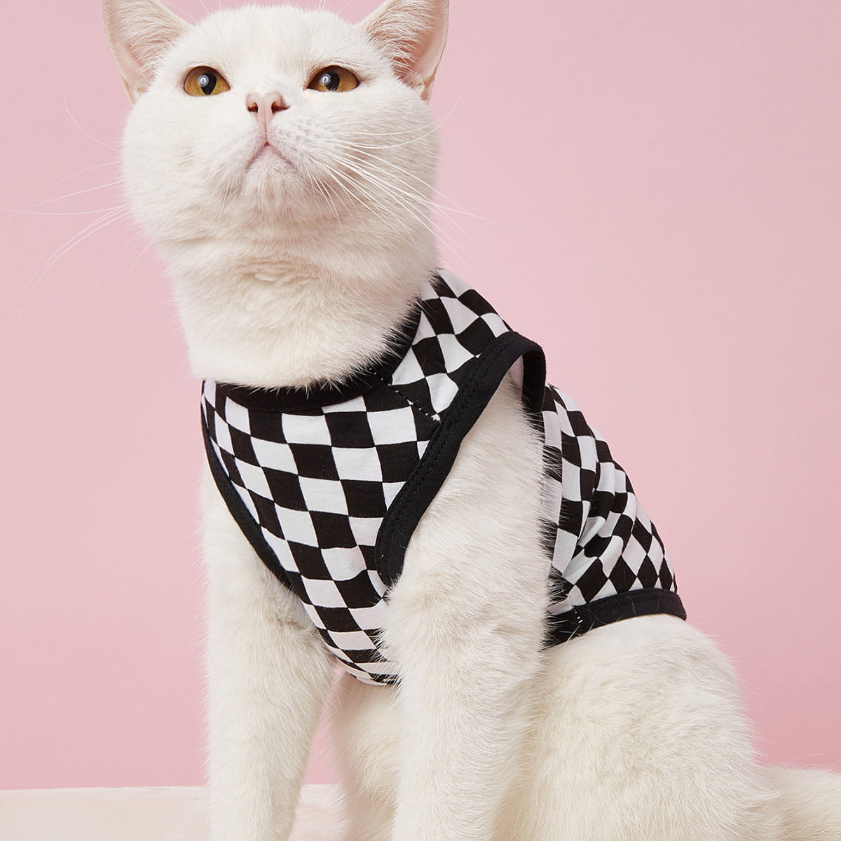 Cat Vest Shirt: Breathable Checkerboard Summer Style