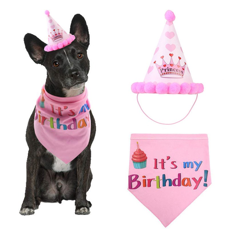 Pet Birthday Hat and Bandana Set for Dogs & Cats Party