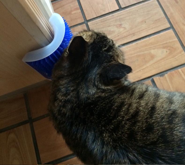 Cat Self Groomer Corner Brush for Shedding Control
