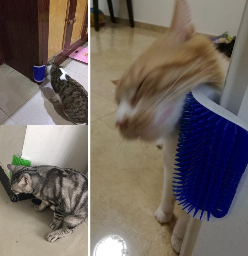 Cat Self Groomer Corner Brush for Shedding Control